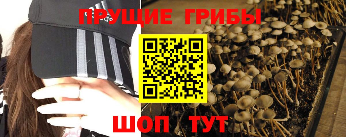 Псилоцибиновые грибы мухоморы Феодосия